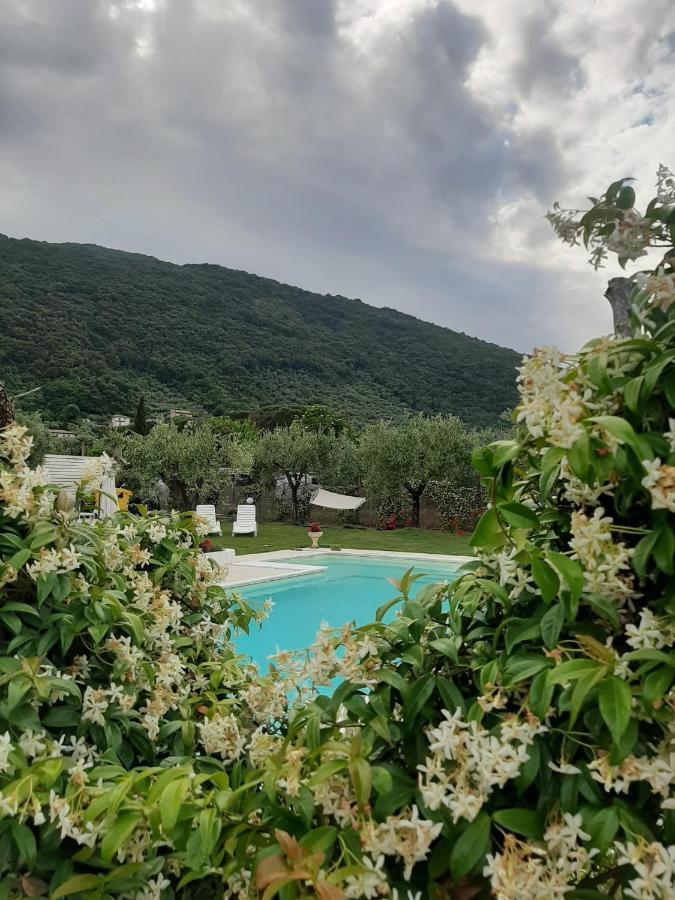 Alloggio Turistico L'Ulivo 蒙泰圣比亚焦 外观 照片