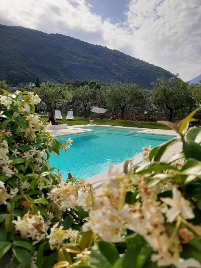 Alloggio Turistico L'Ulivo 蒙泰圣比亚焦 外观 照片